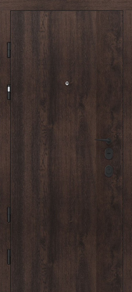 Вхідні двері Rodos Premium PRZ001 alt 16