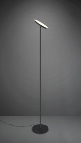 Торшер TRIO PONDA R42301132 alt 1