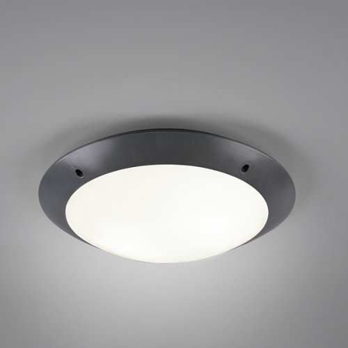 Вуличний світильник TRIO CAMARO R60502042