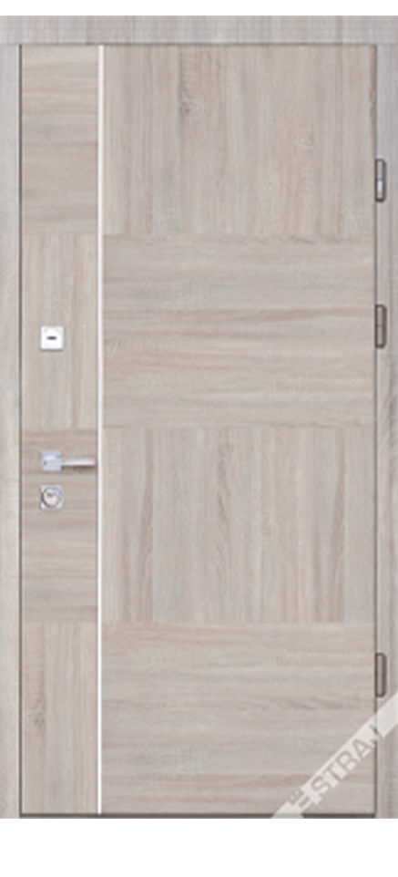 Вхідні двері Страж Standard Securemme Terra Z
