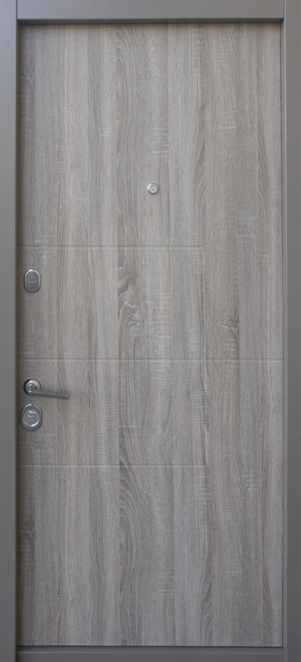 Вхідні двері Страж Quadro alt 1