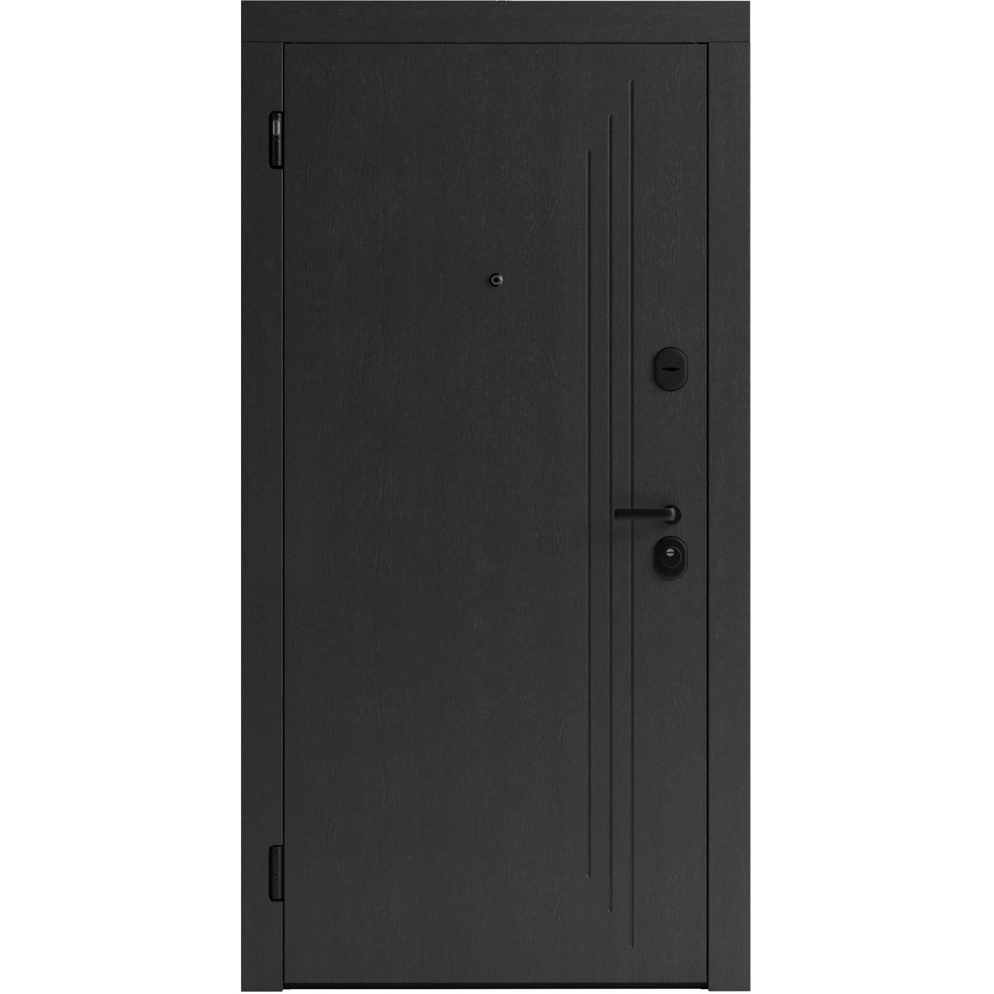 Вхідні двері Rodos Basic F103 alt 1